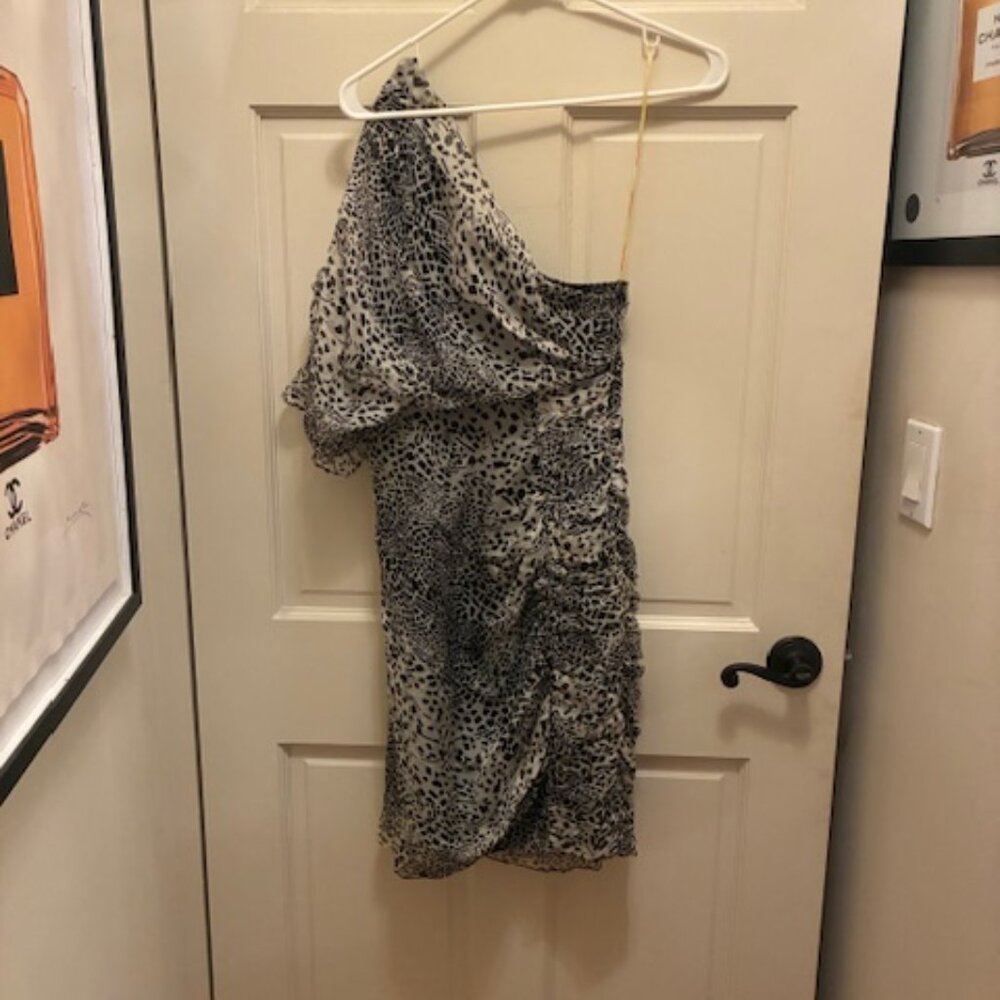 Catherine Malandrino animal print one shoulder silk dolman sleeve dress